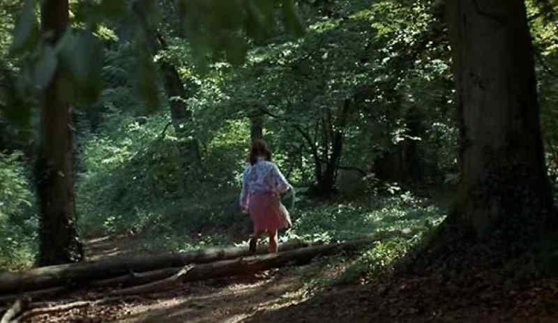 Mr. Sanford, have you see the gardener?