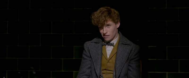 Mr Scamander
