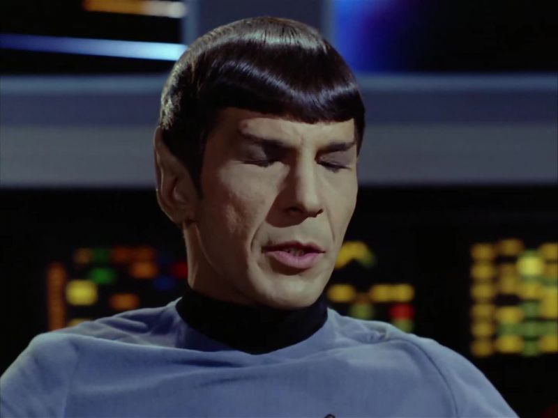 Mr. Spock, someone's opening the shuttlecraft bay doors