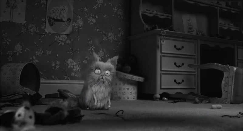 (MR. WHISKERS MEOWS)
