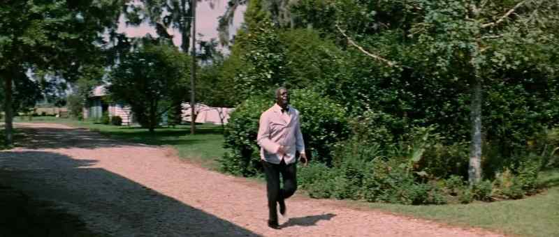 Mr. Will! Mr. Will! - Yeah?