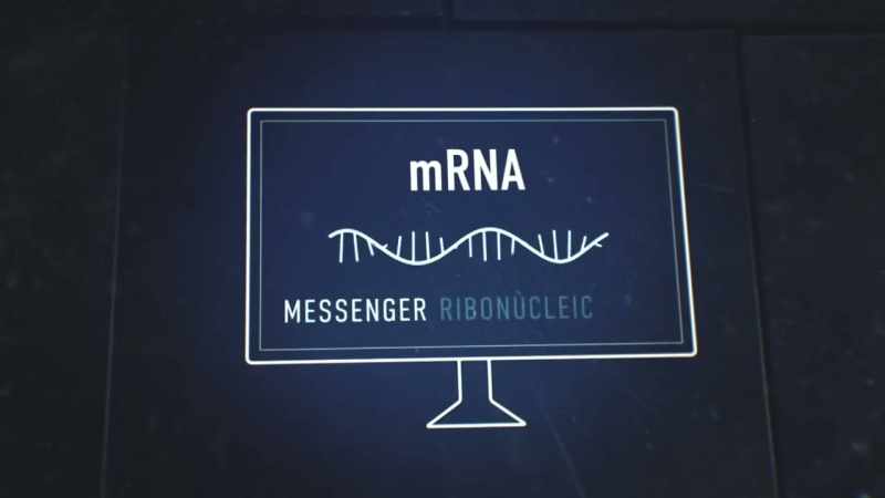 Mrna stands for messenger ribonucleic acid
