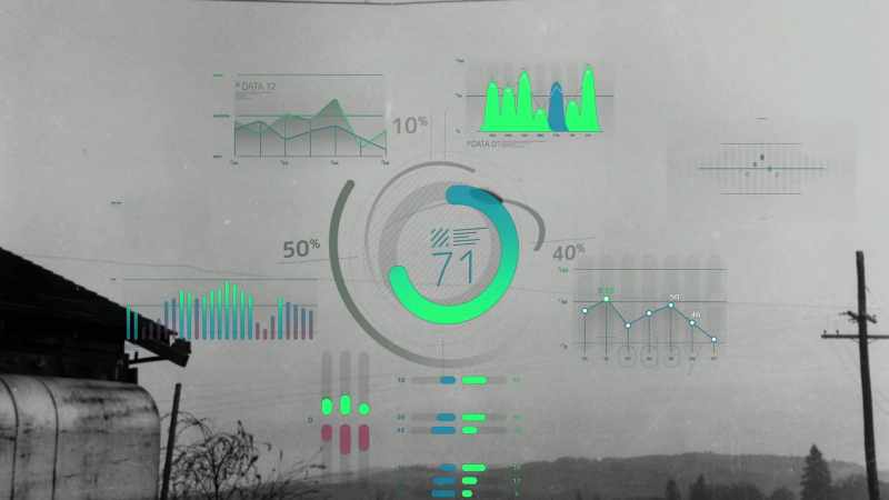 Much of his analysis is based on densitometric measurements