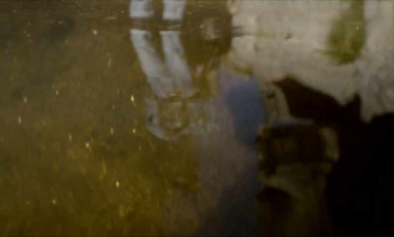 �� Muddy river