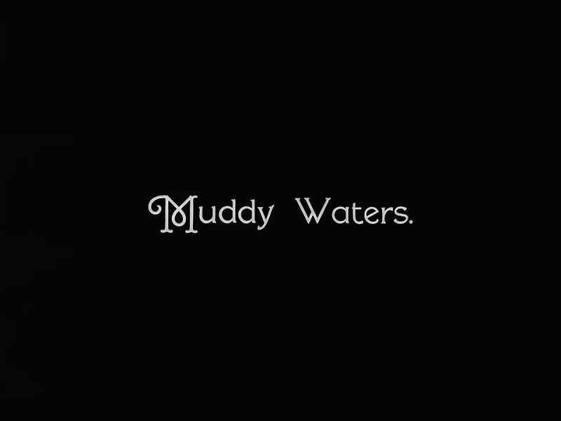 Muddy Waters