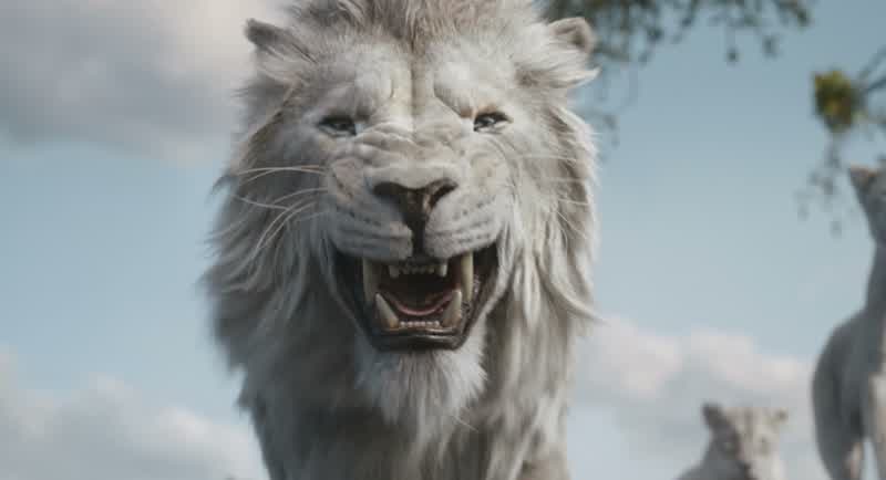 Mufasa, I'm ready