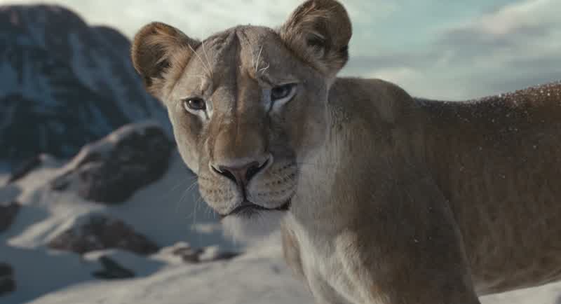 Mufasa