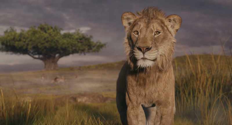 Mufasa, you and Taka together. That