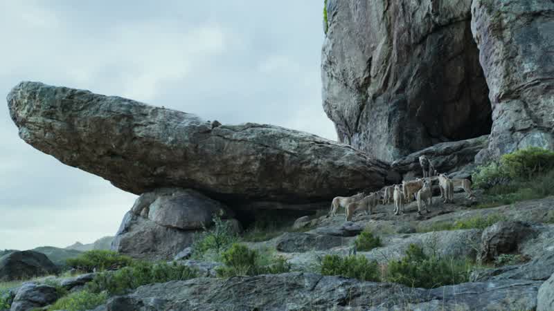 Mufasa's death is a terrible tragedyThe greatest leader the pride has ever knownTo lose a brothersuch a deep personal lossAnd little Simba who had barely begun to liveA cub whose blood held our