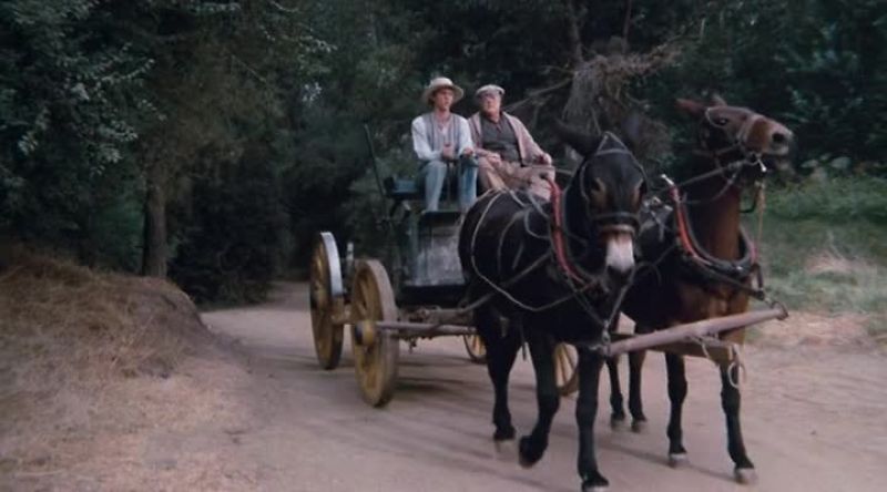 Mule seems to be limping. -Yeah
