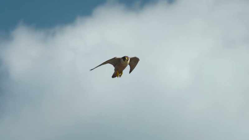 Mum needs to show them how to use these complex thermal currents