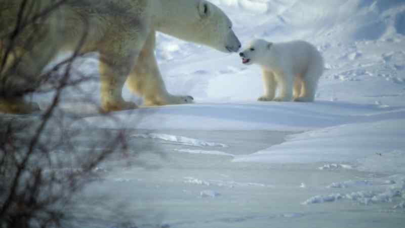 Mum offers him some gentle encouragement