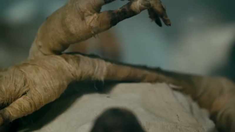 Mummification was invented to provide