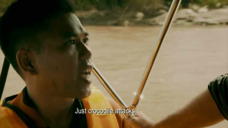 Mungo: IT'S CLEAR THAT SALTWATER CROCODILES