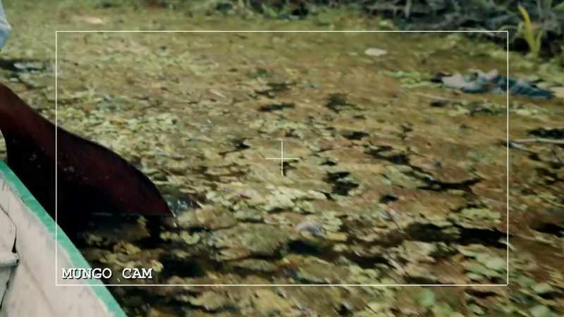 Mungo: THIS REALLY IS PERFECT ANACONDA TERRITORY