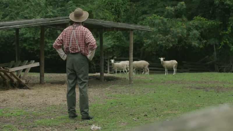 MURPHY: That fall, two of Taber's lambs go missing
