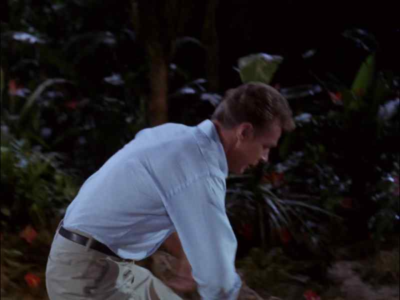 [MUSIC STOPS] GILLIGAN!