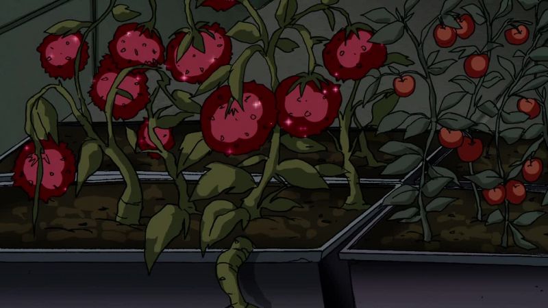 Mutant tomatoes, yum