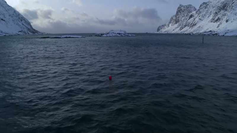 My challenge is to reach that buoy