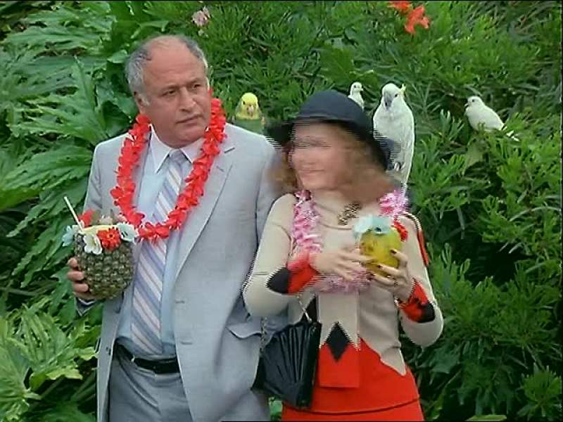 My dear guests I am Mr Roarke your host