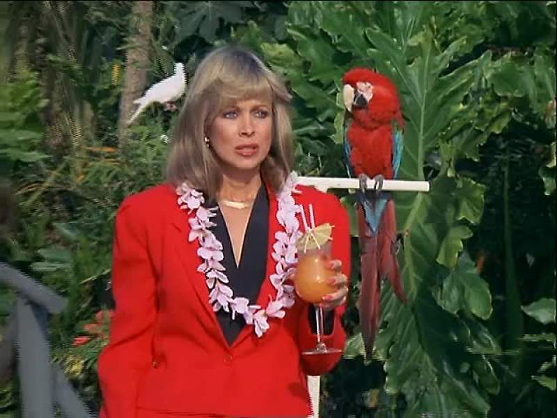 My dear guests I am Mr Roarke your host
