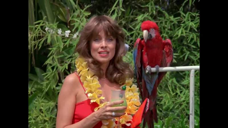 My dear guests I am Mr Roarke your host
