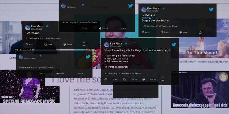 My Dogecoin went up because he Tweeted!