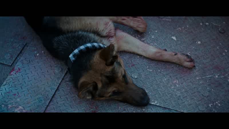 My dog's been shotI repeat canine shotI always hated getting shotsThis was definitely the worst shot I ever got