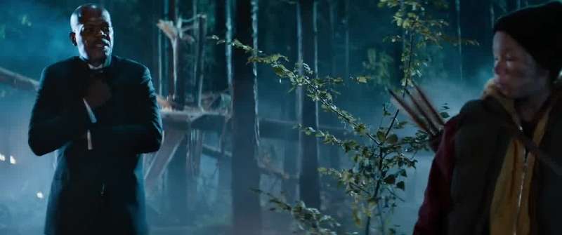 My forest