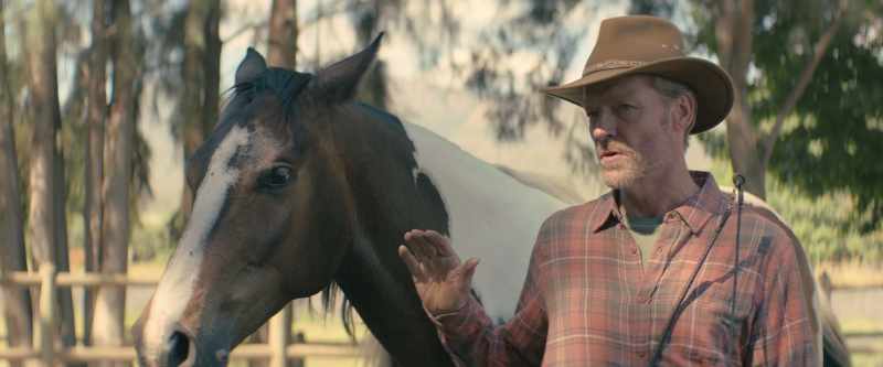 My goal through this work is to help each horse find his peace