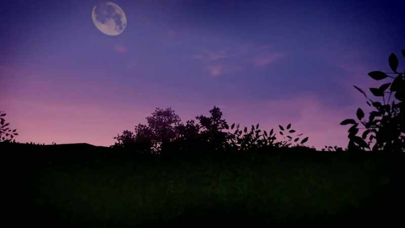 My gosh, the moon
