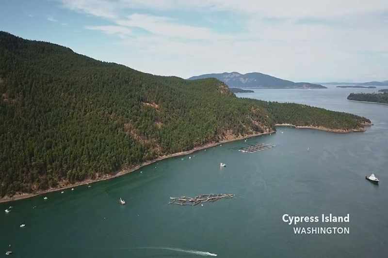 My husband and I are on our boat in Eagle Harbor