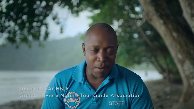 My name is Deon McEachnie