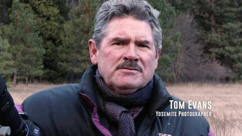 My name is Tom Evans. I've been