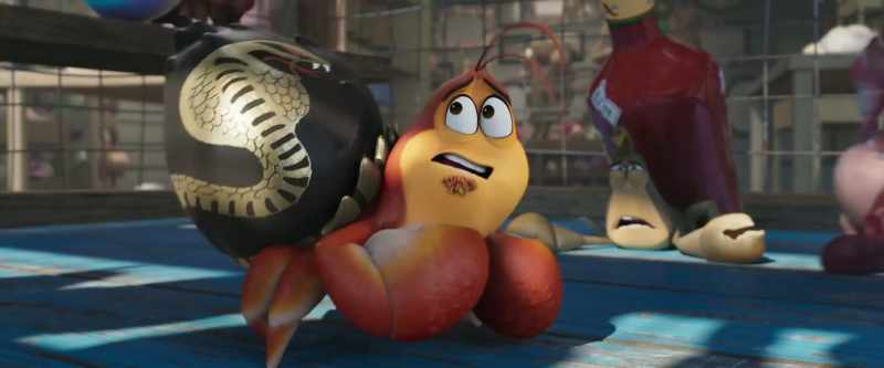 My shell is very important to me. Okay, okay