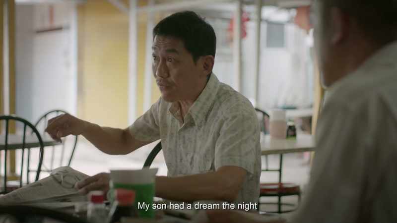 My son had a dream the night