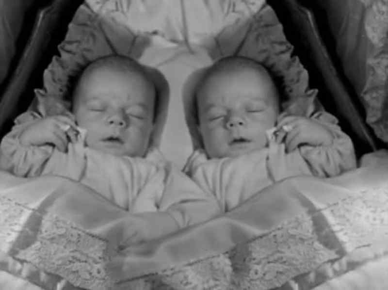 My sons