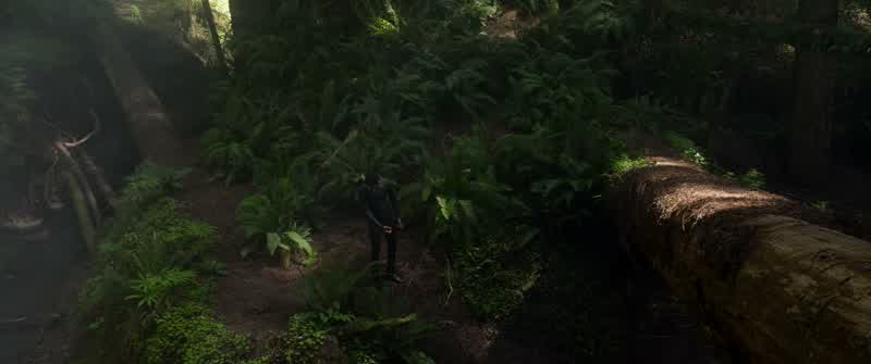 My suit's turned black