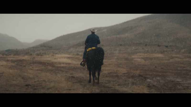 My, uh, third horse