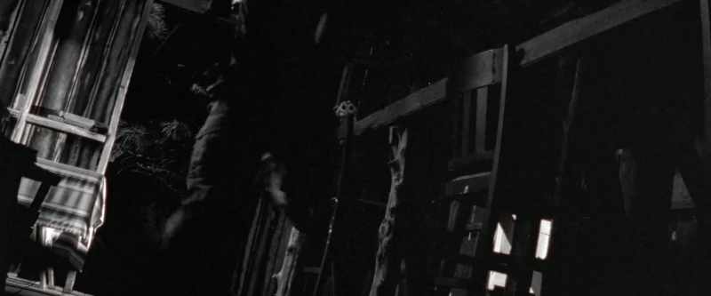 (mysterious whirring) (muffled growling)