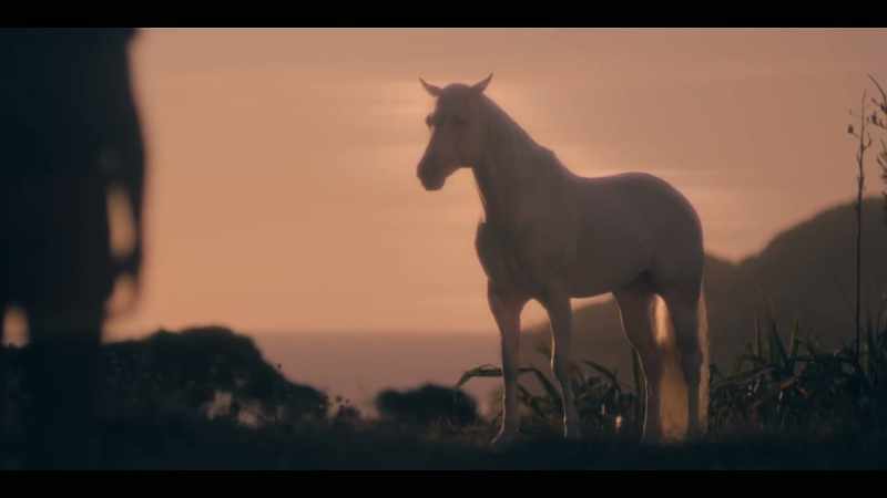 [MYSTICAL TONES]