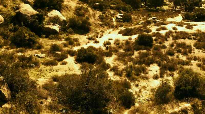 Nabahe, have you found their tracks?