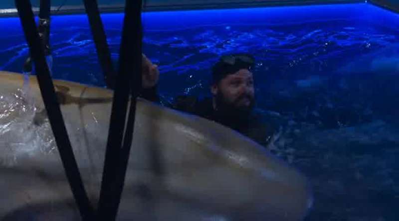 Nah Sharks don't worry me