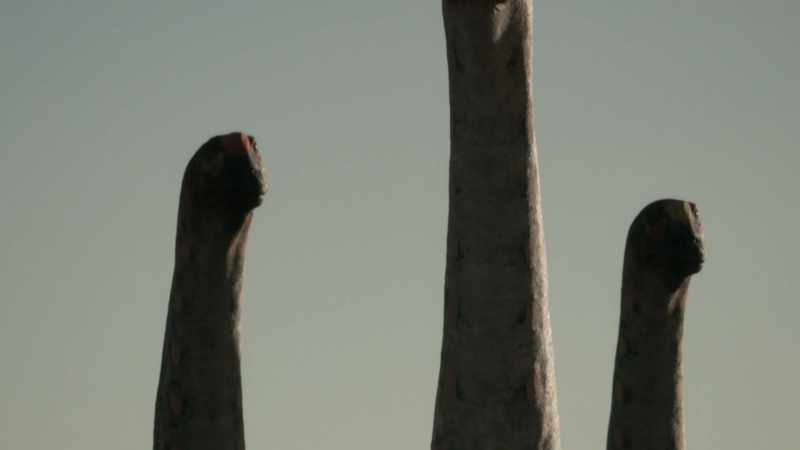 [Naish] There are some sauropod egg clutches