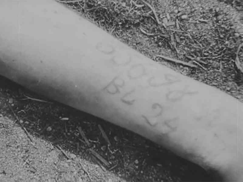 Nameless victims were numbered for records which the Germans destroyed