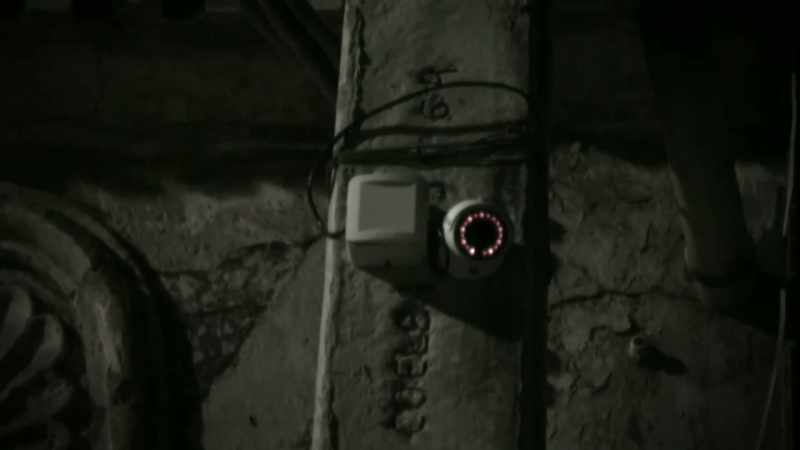 Narrator: A BACKYARD SURVEILLANCE CAMERA CAPTURES A MYSTERIOUS CREATURE