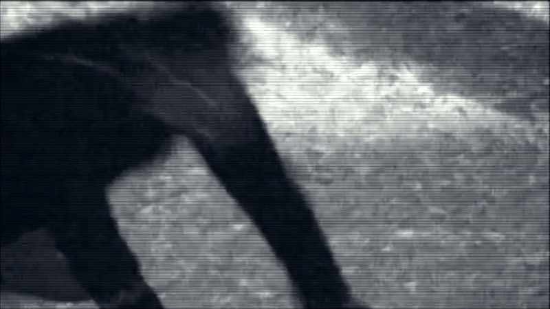 Narrator: A CREATURE FILMED LURKING IN THE SHADOWS