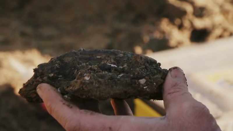 Narrator: A STRUTHIOMIMUS CLAW