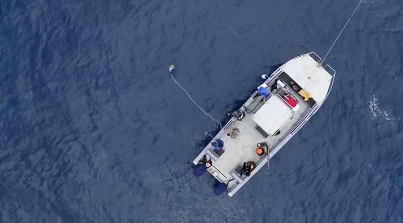 NARRATOR: After chumming, operators use bait tied to a rope