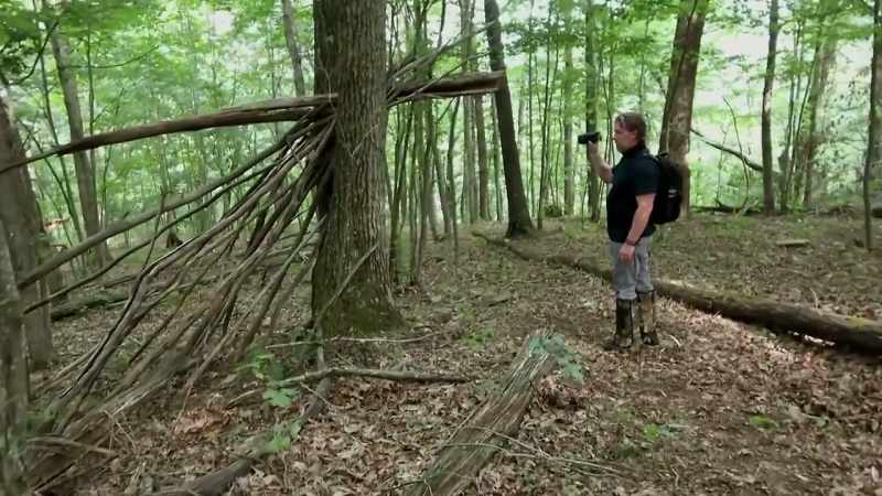 [narrator] After discoverin a tree structure